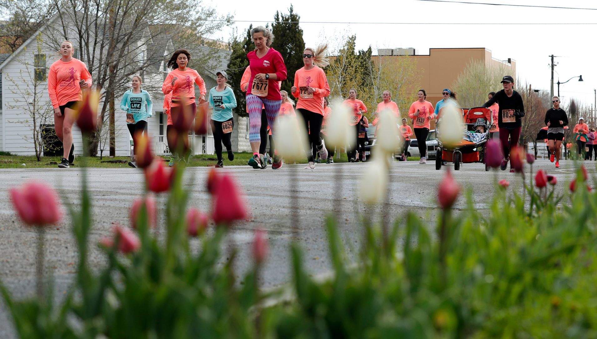 Montana Women's Run